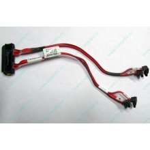 SATA-кабель для корзины HDD HP 451782-001 459190-001 для HP ML310 G5 (Королев)