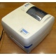 Термопринтер Datamax DMX-E-4203 (Королев)
