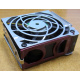 HP 224977 (224978-001) for Proliant ML370 G2/G3/G4 (Королев).