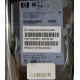 Жёсткий диск 146.8Gb HP 365695-008 404708-001 BD14689BB9 256716-B22 MAW3147NC 10000 rpm Ultra320 Wide SCSI купить в Королеве, цена (Королев).