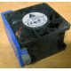 Вентилятор TFB0612GHE для корпусов Intel SR2300 / SR2400 (Королев)