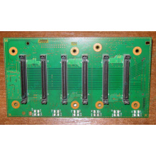 Плата корзины на 6 HDD SCSI FRU 59P5159 для IBM xSeries (Королев)