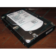 Жесткий диск 300Gb 15k Dell 9CH066-050 ST3300656SS Cheetah 15K.6 6G SAS (Королев)